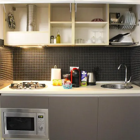 Luxury Apartment